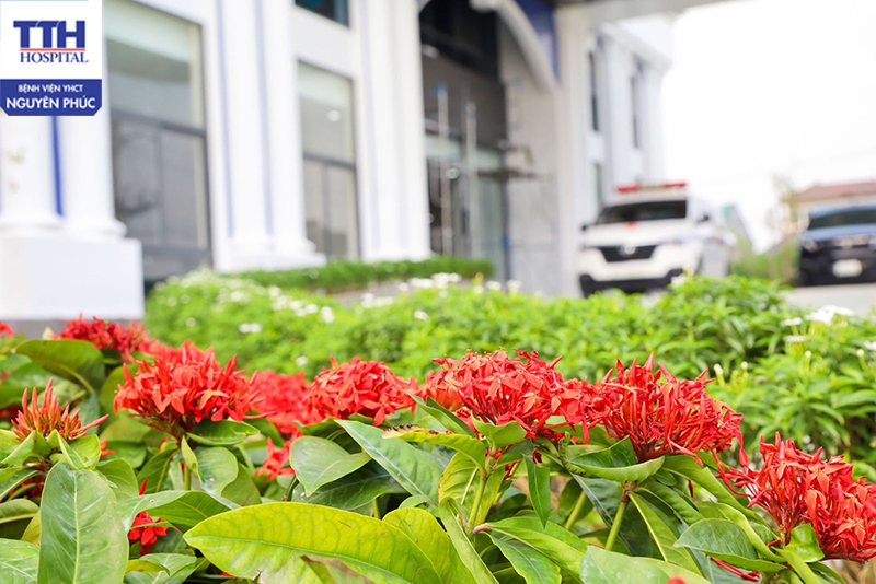 hêm vào đó, không gian xanh và thoáng mát 